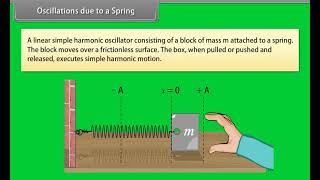 Standard 11 Physics Chapter 13  Oscillations  Quick revision [upl. by Giustino]