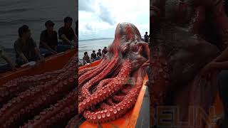 Big Tentacle Monster Caught by Fishermen at Pacific🐙 🦑 🦐 🦀 deepsea fishing giantseaceatures [upl. by Beverlee518]