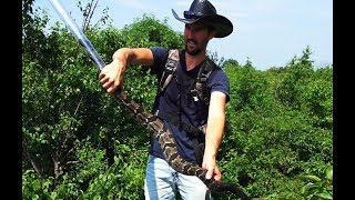 The LONGEST Timber Rattlesnake I Ever Handled [upl. by Ikcim594]