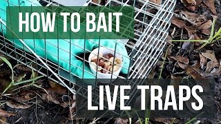 How to Bait Live Animal Traps Live Trapping Tips [upl. by Heather]