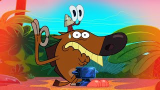 Zig amp Sharko  What a day S02E01 BEST CARTOON COLLECTION  New Episodes in HD [upl. by Htinnek]