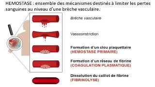 Hemato 08La physiologie de l’hémostase Dr Abbadi [upl. by Eirrek]