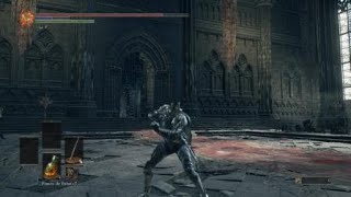 DARK SOULS™ III Lothric amp Lorian [upl. by Ardnohs684]