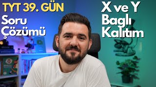 X ve Yye Bağlı Kalıtım Soru Çözümü 39 Günde TYT Biyoloji Kampı  39 GÜN  yks2025 [upl. by Vigen776]