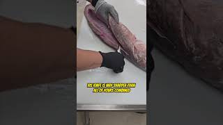 How to Fillet a Kingklip fish with Tommy Gomes and Tunaville Market and Grocery 🔪 [upl. by Omixam]