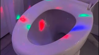 Disco Toilet 111524 [upl. by Elleinaj]