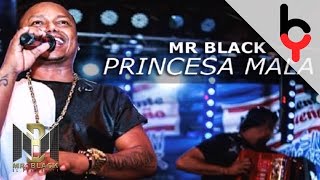 Mr Black  Princesa Mala  Audio [upl. by Nolyak923]