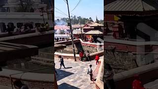 Exploring the Sacred Pashupatinath Temple Kathmandu 🇳🇵 Shortsquot [upl. by Anson]