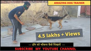 Dog ko Bark Karna kaise Shikhayein dogs training pets pet training dogtraining [upl. by Queridas]