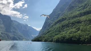 Sognefjord Cruise  Norway fjords in 4k  Cruise amp fishing summer 2018 [upl. by Gusba923]