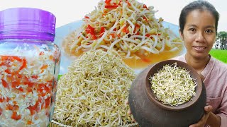 បណ្តុះសណ្តែកធ្វើជ្រក់ Making Been Sprouts and Pickled [upl. by Cheri700]