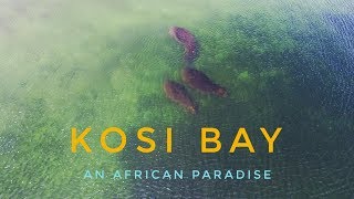 KOSI BAY  An African Paradise [upl. by Malvie]