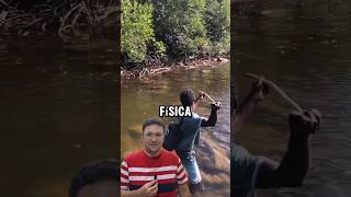 Física da pesca shorts Física [upl. by Wetzell]