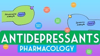 Antidepressants Pharmacology  Soton Brain Hub [upl. by Enidaj602]