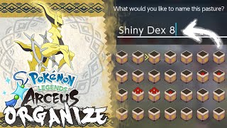 How to Organize Your Pastures in Pokemon Legends Arceus Shiny Living Dex  Alpha Living Dex Method [upl. by Ayanahs]