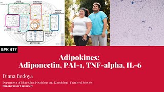 Adipokines Adiponectin PAI1 TNFalpha IL6 [upl. by Byrdie739]