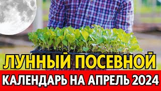 Когда сеять сажать в апреле Лунный посевной календарь на апрель 2024 календарь огородника [upl. by Trudi191]