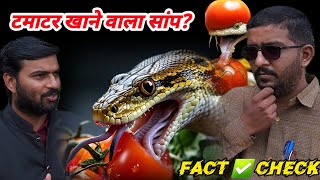 टमाटर खायेगा सांप।SNAKE । TOMATO। EATING।FACT OR FAKE। teamazn FACT। [upl. by Ecnarretal]