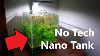 How To No Tech Nano Tank 2 Month Update [upl. by Morette997]