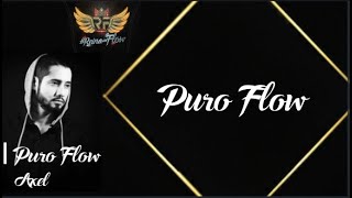 Puro Flow  Axel La Reina Del Flow Karaoke Edit [upl. by Aerdnaek]