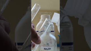 Confirmatory Test of Magnesium Ion Salt analysis Chemistry Practical class 11 class 12 [upl. by Knowling]