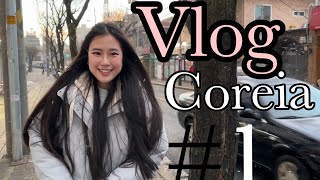 Vlog indo para coreia 1  comida de avião  perrengues etc [upl. by Meryl]