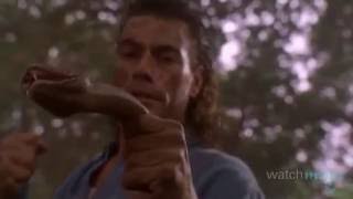 Top 10 JeanClaude Van Damme Moments [upl. by Jedediah880]