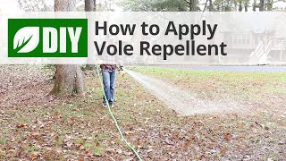 How to Apply Vole Repellent  DoMyOwncom [upl. by Yate]