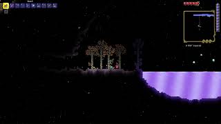 pro terraria gaming the aether biome or is it the shimmer biome idk [upl. by Ettessil837]