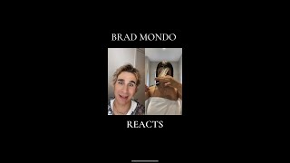 How I cut 90s layers into my hair Hairdresser Reacts Brad Mondo [upl. by Olihs457]