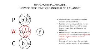 Transactional Analysis Executive Self and Real Self [upl. by Immas]