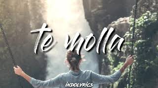 ARNON ft killua  te molla [upl. by Luemas]