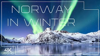 Norway in winter  Breathtaking landscapes in 4K [upl. by Mcnutt]