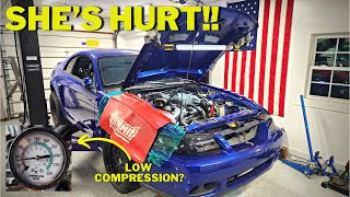 My CHEAP 2003 SVT Cobra has BIG PROBLEMS Hurt Motor [upl. by Attelra856]