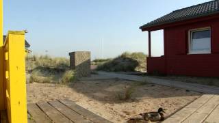 Blick von den neuen Urlaubs Bungalows auf der Düne Helgoland [upl. by Aelsel420]