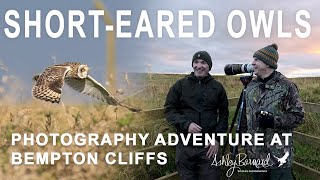 Owl Amazing  Photographing Short Eared Owls [upl. by Aiksas]