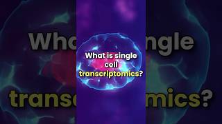 What is single cell transcriptomics 3danimation [upl. by Nwahsan546]