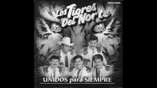 Si me vas a dejar Tigres del norte [upl. by Nadruoj]