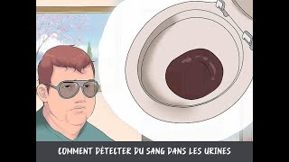 Comment détecter du sang dans les urines [upl. by Kirbie]