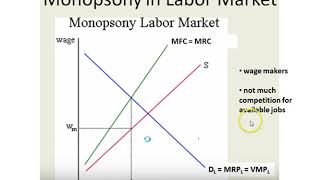 Monopsony Labor Market [upl. by Atinra529]