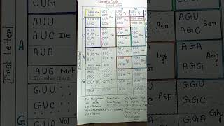 Genetic code chart genetic code class 12 biology shortsfeed shorts zoology viral trending [upl. by Utham589]