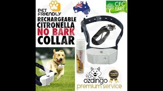 Citronella Rechargeable Spray Dog Collar Trainer [upl. by Hoeve]