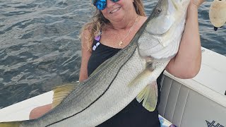 Big Snook caught in Loxahatchee River jupiter bigsnook snook floridafishing fishing hugesnook [upl. by Inait817]