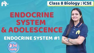 Endocrine System amp Adolescence Class 8 ICSE Biology Chapter 5  Selina  Endocrine System 1 [upl. by Florence900]