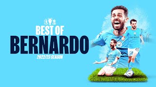 BEST OF BERNARDO SILVA 2223  Fantastic goals and assists [upl. by Kirt]