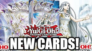 NEW BLUEEYES WHITE DRAGON CARDS  YuGiOh Structure Deck [upl. by Irita]