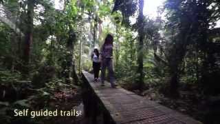 La Selva Amazon Ecolodge amp Spa  Ecuadorian Amazon [upl. by Glantz]