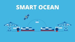 Hellmann Worldwide Logistics Smart Ocean [upl. by Dippold892]