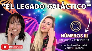 8 El Legado Galáctico 🧬 NÚMEROS III Conciencia y Universo [upl. by Gabbert]