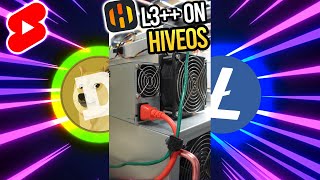 HUGE EFFICIENCY Gains on my L3 with HIVEOS Firmware Upgrade  DOGECOIN LITECOIN Miner [upl. by Evanne]